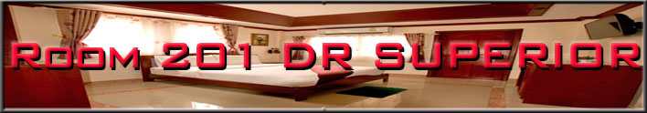 <span>Take a look at our</span> DR SUPERIOR  Guest Room